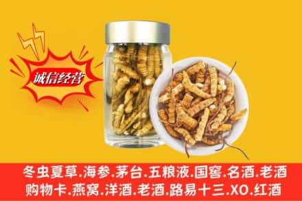 清河县求购回收散虫草