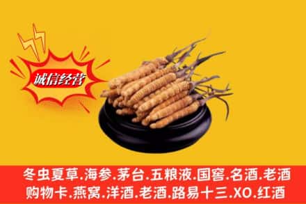 清河县回收虫草多少钱每克